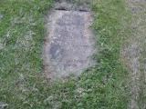 image of grave number 909469